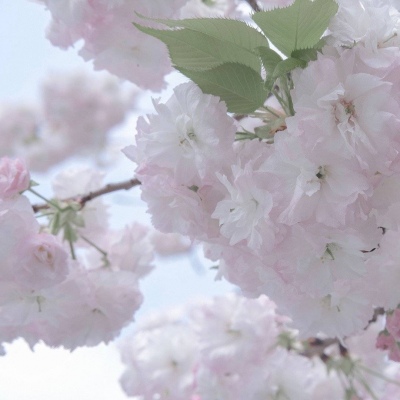 法库FurryQQ群介绍